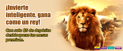 Torneos de Poker Semanales Aquí